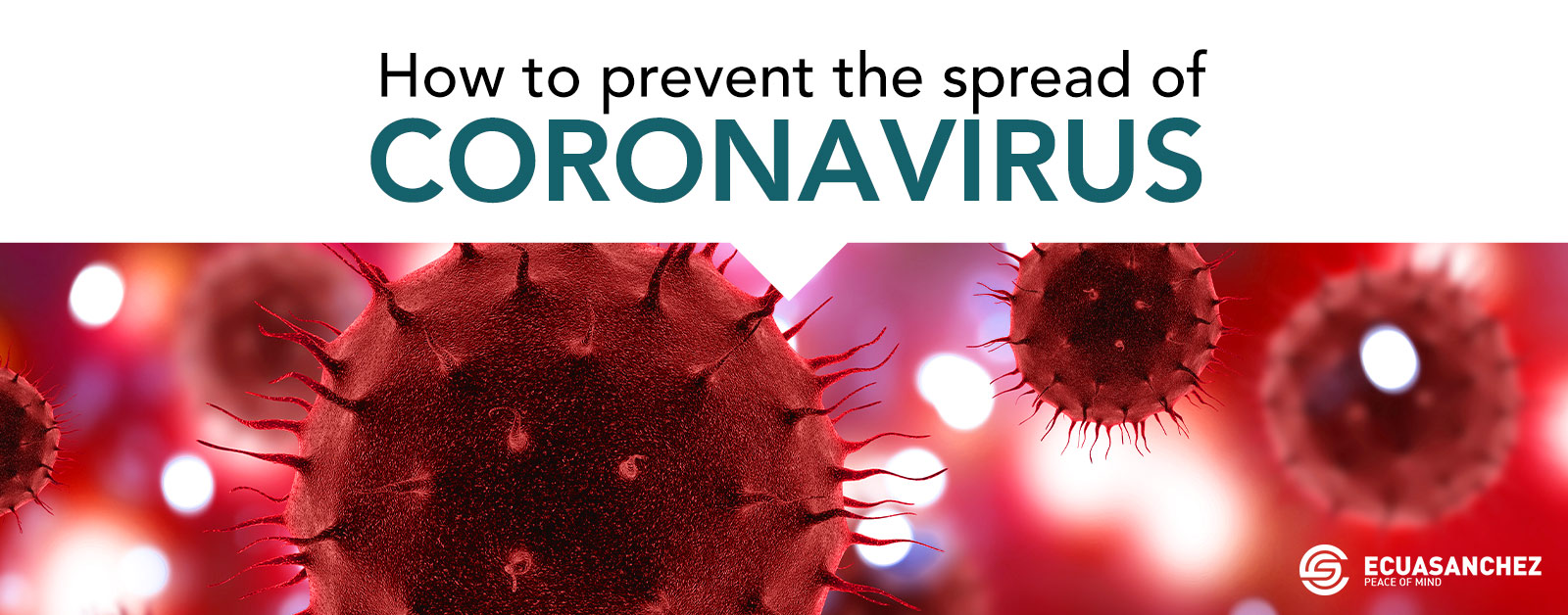 corona virus prevention in new rochelle